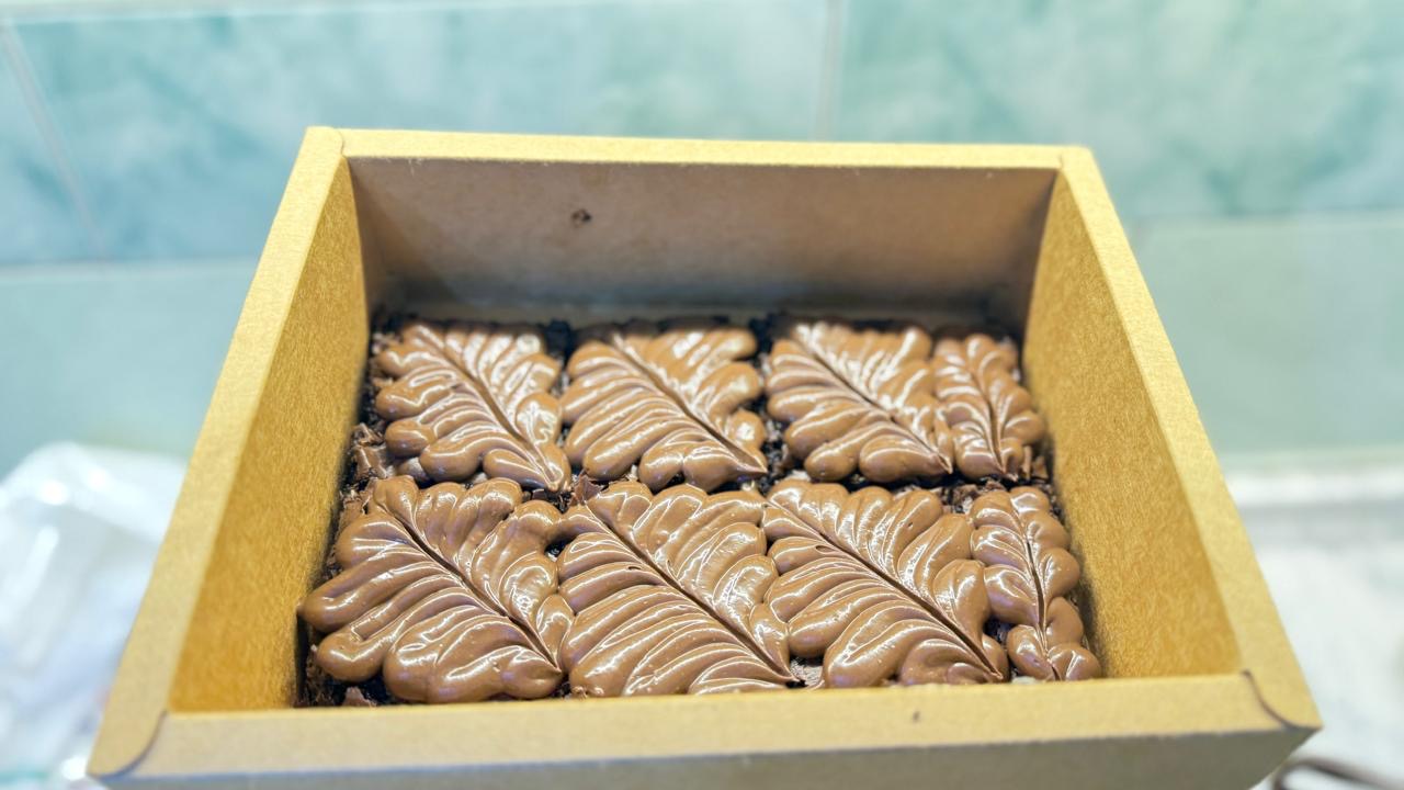 براونيز بصوص